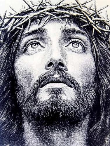 pigpigboss Jesus Diamant Malen nach Zahlen, 5D Full Diamond Art Painting Kits, Religiöse Jesus Diamant Malerei Punkte Kunst Handwerk für Erwachsene Anfänger Urlaub Segen (30 x 49,9 cm) von pigpigboss