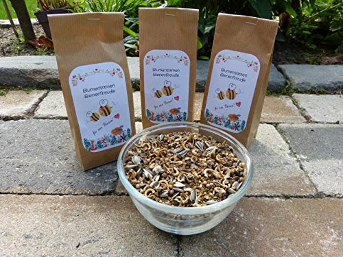 Blumensamen Bienenfreude Wildblumenmischung ohne Gräser Saatgut Insekten Bienen bunte Seedbombs Samen 100-500 g zur Auswahl ein- und mehrjährig (100g) von pille baumschulen