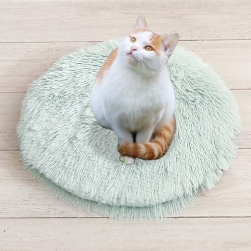 ping bu Set mit 2/3 Plüsch-Katzenbetten, beruhigende Donut-Katzenbettmatte, waschbar, weich, wärmend, runde Matratze, Haustierbox-Betten für den Innenbereich, schlafende Katzen, Kätzchen, D, 3 Stück ping bu Set mit 2/3 Plüsch-Katzenbetten, beruhigende Donut-Katzenbettmatte, waschbar, weich, wärmend, runde Matratze, Haustierbox-Betten für den Innenbereich, schlafende Katzen, Kätzchen, D, 3 Stück von ping bu