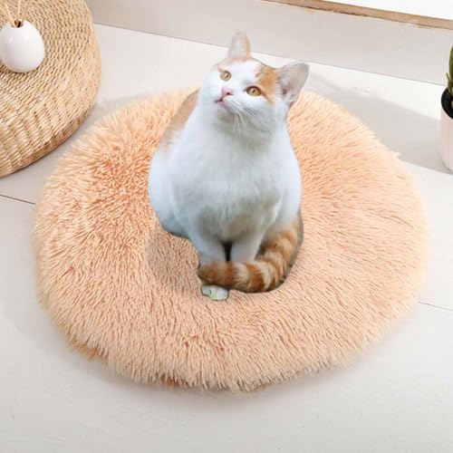 ping bu Set mit 2/3 Plüsch-Katzenbetten, beruhigende Donut-Katzenbettmatte, waschbar, weich, wärmend, runde Matratze, Haustierbox-Betten für den Innenbereich, schlafende Katzen, Kätzchen (C, 3 Stück ping bu Set mit 2/3 Plüsch-Katzenbetten, beruhigende Donut-Katzenbettmatte, waschbar, weich, wärmend, runde Matratze, Haustierbox-Betten für den Innenbereich, schlafende Katzen, Kätzchen (C, 3 Stück von ping bu
