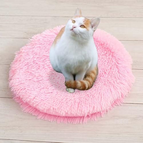 ping bu Set mit 2/3 Plüsch-Katzenbetten, beruhigende Donut-Katzenbettmatte, waschbar, weich, wärmend, runde Matratze, Haustierbox-Betten für den Innenbereich, schlafende Katzen, Kätzchen (I, 2 Stück ping bu Set mit 2/3 Plüsch-Katzenbetten, beruhigende Donut-Katzenbettmatte, waschbar, weich, wärmend, runde Matratze, Haustierbox-Betten für den Innenbereich, schlafende Katzen, Kätzchen (I, 2 Stück von ping bu