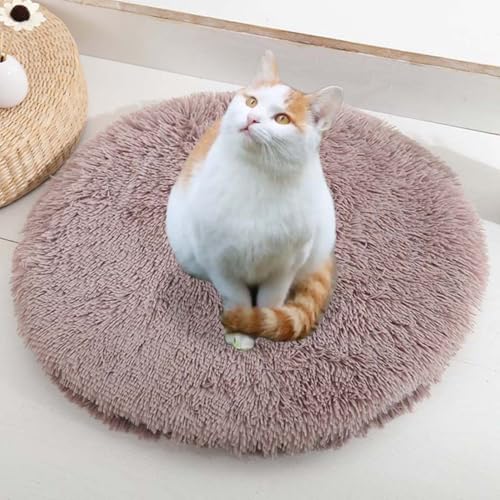 ping bu Set mit 2/3 Plüsch-Katzenbetten, beruhigende Donut-Katzenbettmatte, waschbar, weich, wärmend, runde Matratze, Haustierbox-Betten für den Innenbereich, schlafende Katzen und Kätzchen (A, 3 ping bu Set mit 2/3 Plüsch-Katzenbetten, beruhigende Donut-Katzenbettmatte, waschbar, weich, wärmend, runde Matratze, Haustierbox-Betten für den Innenbereich, schlafende Katzen und Kätzchen (A, 3 von ping bu