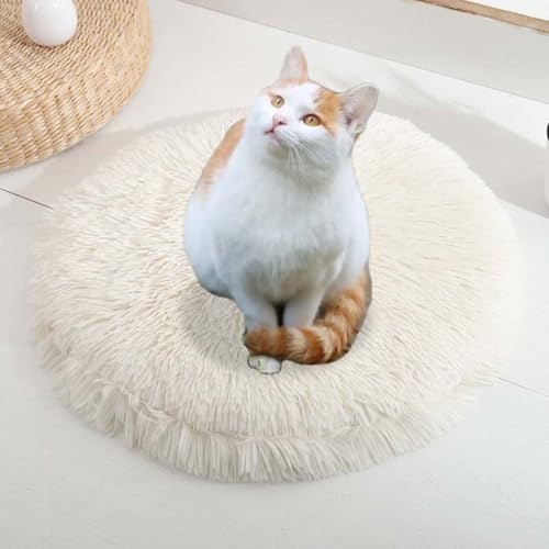 ping bu Set mit 2/3 Plüsch-Katzenbetten, beruhigende Donut-Katzenbettmatte, waschbar, weiche, wärmende, runde Matratze, Haustierbox-Betten für den Innenbereich, schlafende Katzen, Kätzchen (F,2 Stück ping bu Set mit 2/3 Plüsch-Katzenbetten, beruhigende Donut-Katzenbettmatte, waschbar, weiche, wärmende, runde Matratze, Haustierbox-Betten für den Innenbereich, schlafende Katzen, Kätzchen (F,2 Stück von ping bu