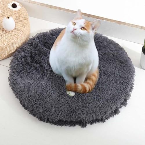 ping bu Set mit 2/3 Plüsch-Katzenbetten, beruhigende Donut-Katzenbettmatte, waschbar, weiche, wärmende, runde Matratze, Haustierbox-Betten für den Innenbereich, schlafende Katzen, Kätzchen (G, 2 Stück ping bu Set mit 2/3 Plüsch-Katzenbetten, beruhigende Donut-Katzenbettmatte, waschbar, weiche, wärmende, runde Matratze, Haustierbox-Betten für den Innenbereich, schlafende Katzen, Kätzchen (G, 2 Stück von ping bu