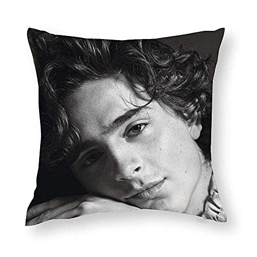 pingshang Timothee Chalamet Retro dekorative Throw Pilloases für Couch & Party, 18 x 18 Zoll von pingshang