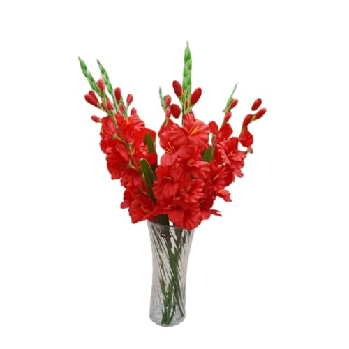pistro Künstliche Pflanzen und Blumen, Hochzeitsblume, Gladiolen-Blumenstiel, 2 Blätter, 7 Gladiolen und 3 Knospen, Rot, 80 cm pistro Künstliche Pflanzen und Blumen, Hochzeitsblume, Gladiolen-Blumenstiel, 2 Blätter, 7 Gladiolen und 3 Knospen, Rot, 80 cm von pistro