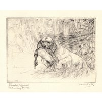 1930 Antike Clumber Spaniel Druck Wand Kunst Dekor Jagdhund Vernon Stokes Illustration Hütte Cottage Vs 11163L von plaindealing