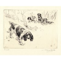 1930 Antike Springer Spaniel Druck Wand Kunst Dekor Jagd Sport Hund Vernon Stokes Illustration Hütte Cottage Vs 8868E 1930 Antike Springer Spaniel Druck Wand Kunst Dekor Jagd Sport Hund Vernon Stokes Illustration Hütte Cottage Vs 8868E von plaindealing