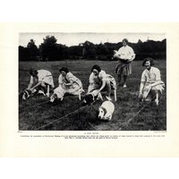 1930 Antiker Basset Hound Hundedruck Spaß Basset Hound Racing Druck Wandkunst Dekor Geburtstag Geschenkidee 11224V 1930 Antiker Basset Hound Hundedruck Spaß Basset Hound Racing Druck Wandkunst Dekor Geburtstag Geschenkidee 11224V von plaindealing