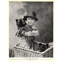 1930Er Antiker Keeshond Druck Wanddekor Master Gatacre Junge Mit Einer Menge Unfug Wohnkultur Geburtstag Geschenk Idee 7955J 1930Er Antiker Keeshond Druck Wanddekor Master Gatacre Junge Mit Einer Menge Unfug Wohnkultur Geburtstag Geschenk Idee 7955J von plaindealing