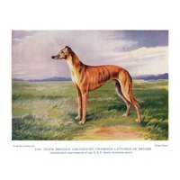 1931 Antiker Greyhound Druck Wand Kunst Dekor Ward Binks Illustration Cottage Hütte Wohnkultur Geburtstag Geschenk Idee 7804F von plaindealing