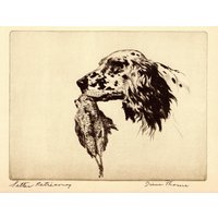 1935 Antiker Englisch Setter Druck Diana Thorne Illustration Vogel Jagd Hund Kunstdruck Geburtstag Geschenk Idee 9337C von plaindealing