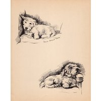 2Er-Set Sealyham Terrier Dog Print Zwei Drucke 1937 Lucy Dawson Illustration Wandkunst Dekor Geschenk Für Geburtstagsfreund 8074Z von plaindealing