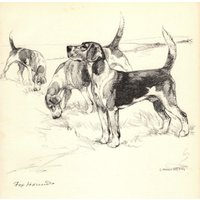 1938 Foxhound Print Wandkunst Dekor Vernon Stokes Illustration Galerie Cottage Wohnkultur Geschenk Für Geburtstag Vs 7077N von plaindealing
