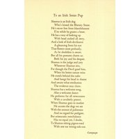 1940S Irish Setter Hund Gedicht Poesie Print Ode An Red Campaspe Geburtstagsgeschenk 2859P von plaindealing