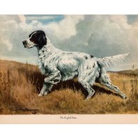 1942 Antiker Englisch Setter Druck Wand Kunst Dekor Vintage Edwin Megargee Jagdhund Gundog Kunstdruck Geburtstagsgeschenk Hausbibliothek 10998R von plaindealing