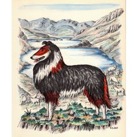 1950 Ordentlich Vintage Collie Print Wall Art Decor Jauss Hüten Schafe Illustration Gallerie Wand Kunst Geschenk Für Geburtstag Freund 4828P von plaindealing