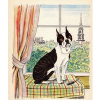 1950 Vintage Boston Terrier Print Wandkunst Dekor Hund Illustration Galerie Jauss Kunst Geschenk Für Geburtstagsfreund 7753Q von plaindealing