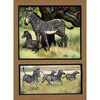 Antik Zebra Print Wand Kunst Dekor Edwin Noble Art Illustration Gallery Wall Home Decor Geschenk Für Geburtstag 7379N von plaindealing