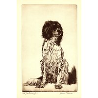 Antike English Setter Druck Wand Kunst Dekor 1935 Diana Thorne Englisch Setter Illustration Geburtstag Geschenk Idee 8970 Antike English Setter Druck Wand Kunst Dekor 1935 Diana Thorne Englisch Setter Illustration Geburtstag Geschenk Idee 8970 von plaindealing