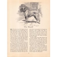 Antiker Mastiff Druck Galerie Wanddekoration 1942 Vintage Edwin Megargee Kunstdruck Geburtstag Geschenk Idee Hausbibliothek Dekor 11459L von plaindealing