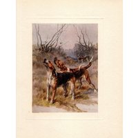 C1910 Antike Foxhound Kunstdruck Maud Graf Illustration Jagdhund Wand Kunst Dekor Geschenk Für Geburtstag 9179A von plaindealing