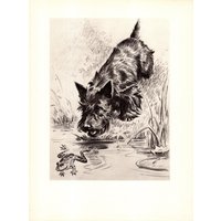 Curious Scottish Terrier Kunstdruck Mit Frosch 1940Er Morgan Dennis Scottie Illustration Wand Kunst Dekor Geschenk Für Geburtstag Freunde 11449A von plaindealing