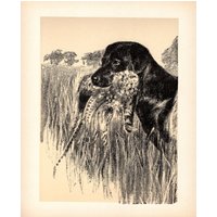 Labrador Retriever Print Ente Jagdhund Wand Kunst Dekor Cleanthe Carr Art Illustration Black Lab Geschenkidee 10666N von plaindealing