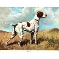 Schöner Pointer Print Wandkunst Dekor 1940Er Jahre Jagdhund Kunst 1942 Edwin Megargee Galerie Hausbibliothek 10599P von plaindealing