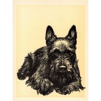 Sweet Scottish Terrier Print Wall Art Decor 1930S Cleanthe Carr Scottie Hund Illustration Gallery Wandkunst Geburtstag Geschenk 2406D von plaindealing