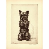 Vintage Cairn Terrier Druck Wand Kunst Dekor 1935 Diana Thorne Pistache Illustration Galerie Geschenk Idee 7057V von plaindealing