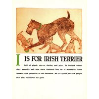 Vintage Irish Terrier Druck Abc Buchstabe I Alphabet Illustration Wand Kunst Kinderzimmer Dekor 11303K von plaindealing