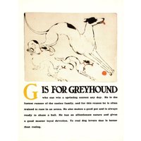 Vintage Windhund Druck Abc Print Buchstabe G Alphabet Wand Kunst Illustration Kinderzimmer Dekor 10581 von plaindealing