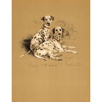 Schöner Dalmatiner Druck Wand Kunst Dekor Best Friends Thema Vintage 1940 Lucy Dawson Illustration Geschenk Für Geburtstagsfreund 10573S von plaindealing