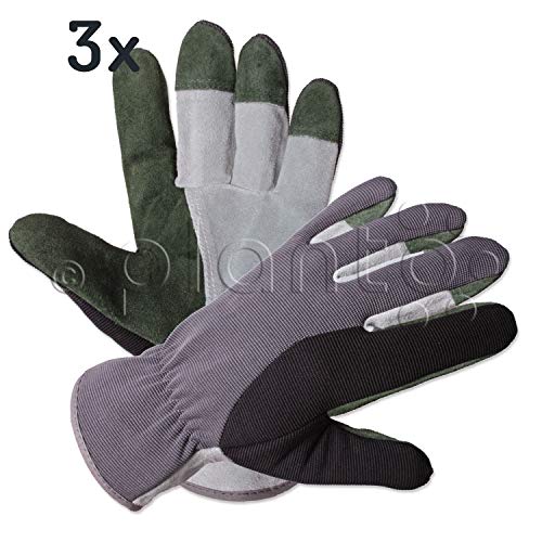 planto Leder-Gartenhandschuhe Flex, Gr. 10, Profi Arbeitshandschuhe aus bestem Rindsleder, Thornproof gloves (3 Paar) von planto