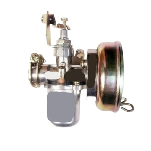 VERGASER Passend for PZ11J 1E40F 1E45F 1E46F 3WF18(Silver) von pljYocdO