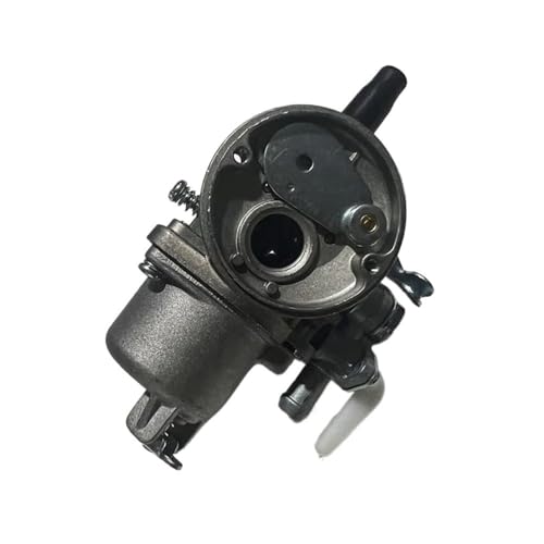Vergaser passend for 40F-5 1E40F-5 40-5 TU43 TB43 TL43 BG430 CG430 2-Takt 43CC 1,25 KW von pljYocdO