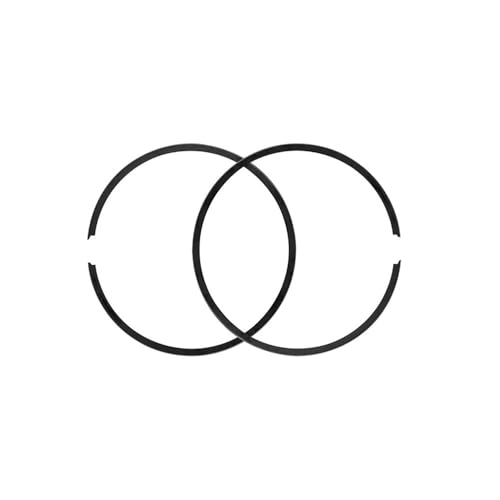 pljYocdO 25 50 100 66 mm – 67 mm Kolben- und Ringsatz, kompatibel mit KDX200 1989–2006, Motorradmotorteile(Ring 66.5mm) von pljYocdO