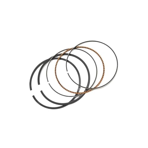 pljYocdO Motorrad 49mm 25 50 Kolbenring Kompatibel for GSX250R GJ72A GJ73A GJ74A GSF250 B250 A913(1 Set 49.25mm) von pljYocdO