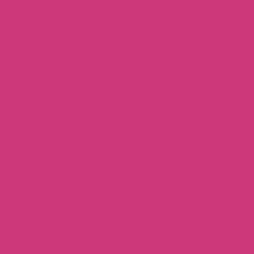 plottiX Perm. Vinylfolie - 31,5cm x 1m - Magenta von plottiX