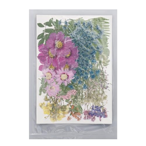 Trocken gepresste Blumen Blätter Kit 110 Stück natürliche echte gepresste Blumen für DIY Bastelhaut Kunst Schmuck Machen Scrapbooking Home Dekoration 7,5 x 10,6 Zoll Trocken gepresste Blumen Blätter Kit 110 Stück natürliche echte gepresste Blumen für DIY Bastelhaut Kunst Schmuck Machen Scrapbooking Home Dekoration 7,5 x 10,6 Zoll von plplaaoo