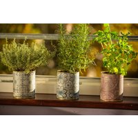 Diy Bastelset Dosengarten - Serviettentechnik, Upcycling-Set Kräutergarten Mit 3 Dosen, Dekoration Für Fensterbank, Fensterbrett, Geschenk von pocketgardenUpcyShop