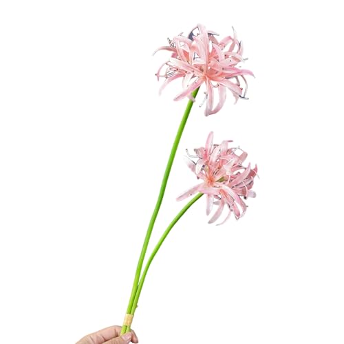 pofluany Künstliche Rote Spinnenlilie für den Innenbereich, realistische Seidenblumen, Hochzeit, Zuhause, Büro, Tischdekoration, 2 Stück, Kunstblumen-Zweig, Blumenarrangement, Dekoration, Rosa pofluany Künstliche Rote Spinnenlilie für den Innenbereich, realistische Seidenblumen, Hochzeit, Zuhause, Büro, Tischdekoration, 2 Stück, Kunstblumen-Zweig, Blumenarrangement, Dekoration, Rosa von pofluany