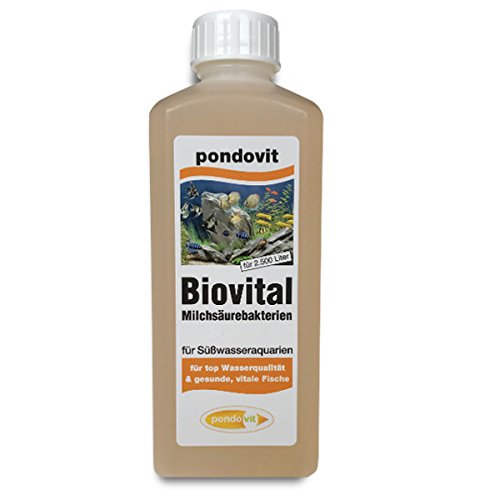 pondovit Milchsäurebakterien Biovital 250 ml, probiotische Bakterien, Wasserpflege pondovit Milchsäurebakterien Biovital 250 ml, probiotische Bakterien, Wasserpflege von pondovit