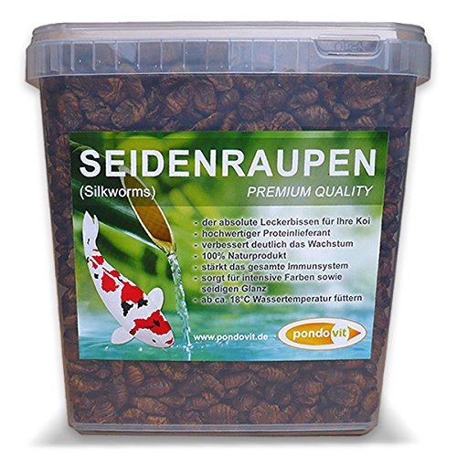 pondovit Seidenraupenpuppen - Premiumsnack - Koi Leckerbissen, 5 l von pondovit