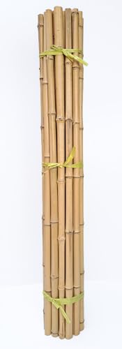 Bambusstange Bambus Bambusstangen Bambushalm 10Stk. 150cm Ø 3-4 cm von poppe-portal