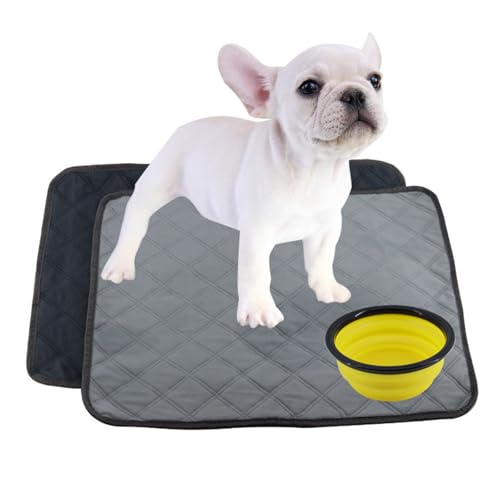 Poraceous 2 Stück Welpenunterlagen Waschbar, PIPI Matten für Hunde, Welpen Unterlagen, 60 x 45 cm Wiederverwendbare Matten für Hunde, Schnell Absorbierend Puppy Training Pads für Sofa und Boden, Grau Poraceous 2 Stück Welpenunterlagen Waschbar, PIPI Matten für Hunde, Welpen Unterlagen, 60 x 45 cm Wiederverwendbare Matten für Hunde, Schnell Absorbierend Puppy Training Pads für Sofa und Boden, Grau von poraceous