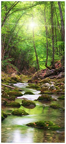 posterdepot ktt0413 Türtapete Türposter Fluss im Wald durch moosbedeckte Steine-Größe 93 x 205 cm von posterdepot