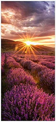 posterdepot Türtapete Türposter Lavendelfeld bei Sonnenuntergang - Sonnenstrahlen - Größe 93 x 205 cm, 1 Stück, ktt0753 von posterdepot