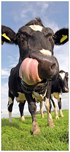 posterdepot Türtapete Türposter Lustige Kuh auf der Weide mit herausgestreckter Zunge - Größe 93 x 205 cm, 1 Stück, ktt0329 von posterdepot